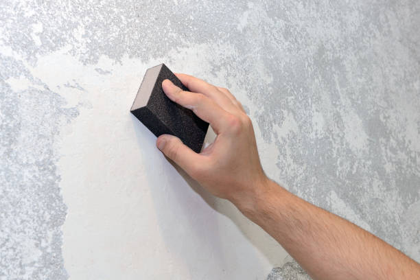 Best Mold Damage Restoration  in Long Beach, NY