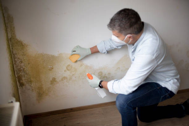 Best Post-Remediation Verification Testing  in Long Beach, NY