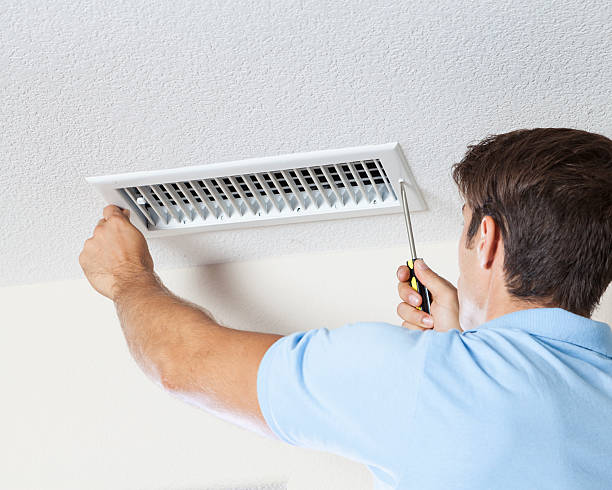 Best Attic Mold Removal  in Long Beach, NY