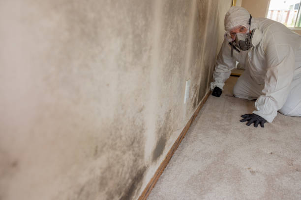Best Airborne Mold Testing  in Long Beach, NY
